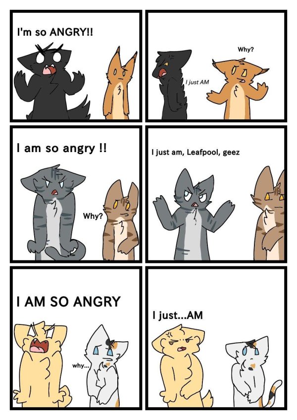 коты воители приколы