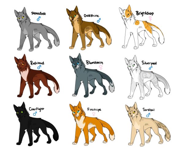 Коты воители
