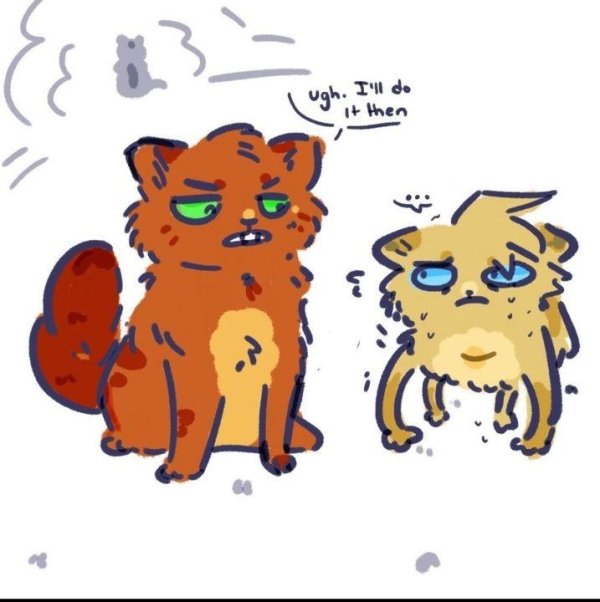 фанфики коты воители