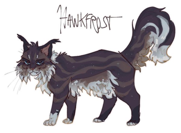 коты воители адопты