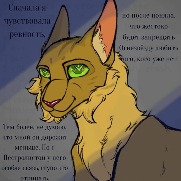 кот воители