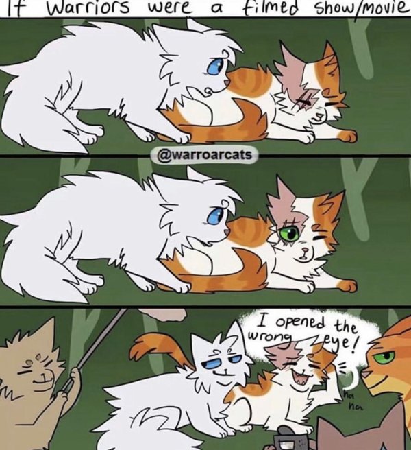 комиксы по котам воителям смешные