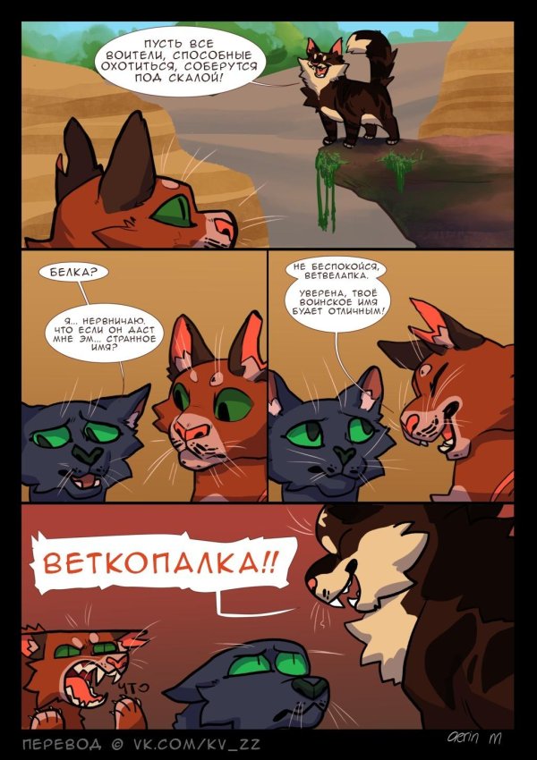 коты воители приколы