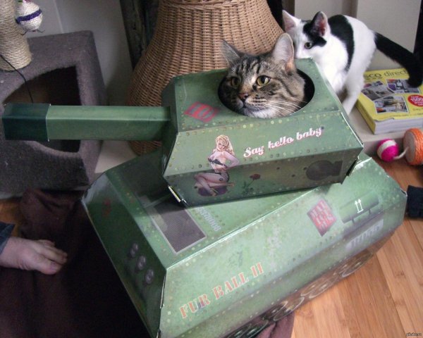 картонный танк