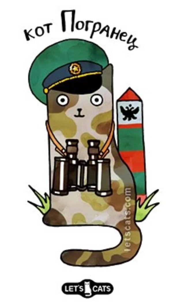 кот пограничник