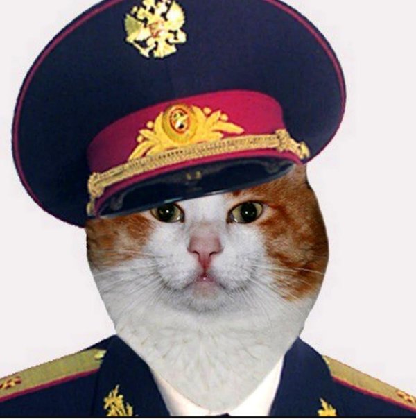 фуражка мвд