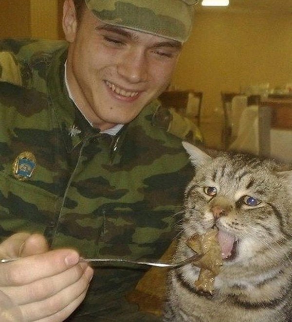 солдат с котом