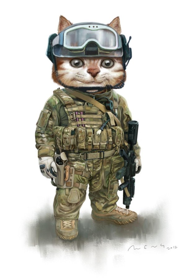 кошачий спецназ