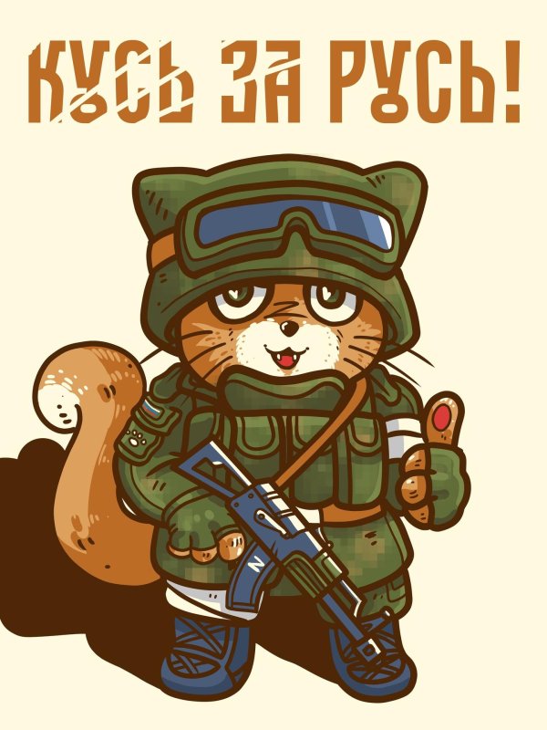 тактический котик