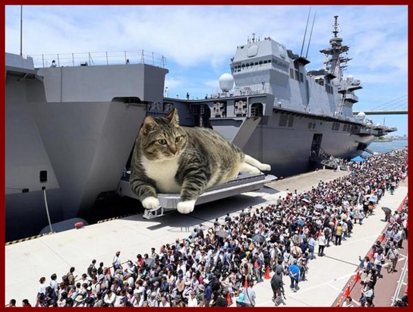 японские авианосцы