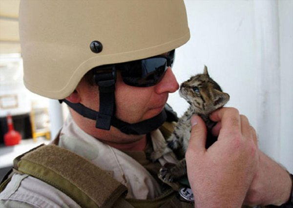 солдат с котенком