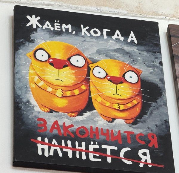 музей васи ложкина в спб