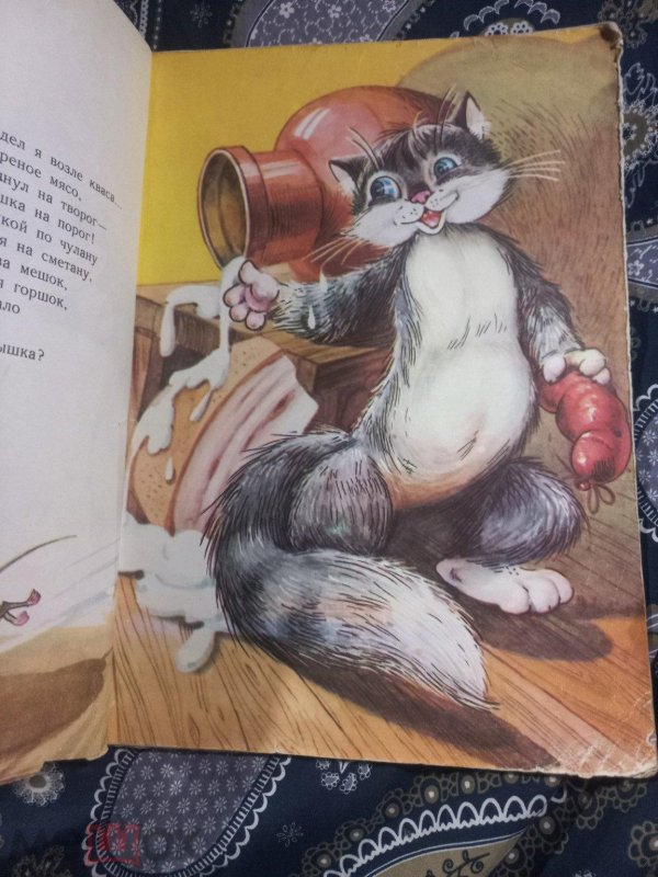 кот василий