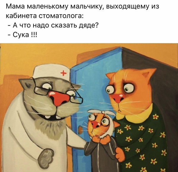котики васи ложкина
