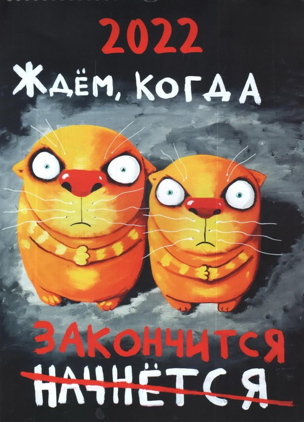 кот васи ложкина