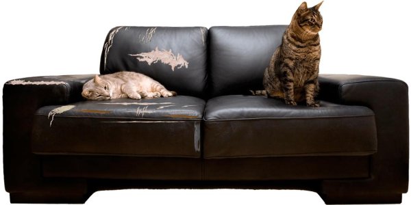 перетяжка мебели