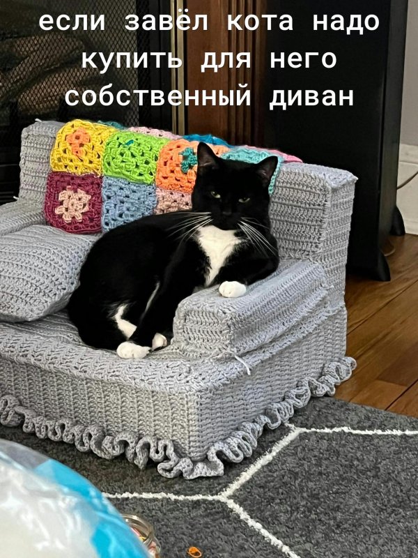 кошачий диван