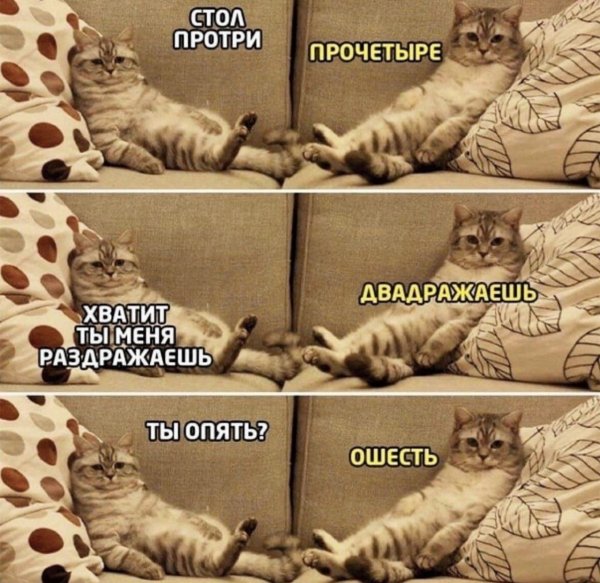 раздражает мем