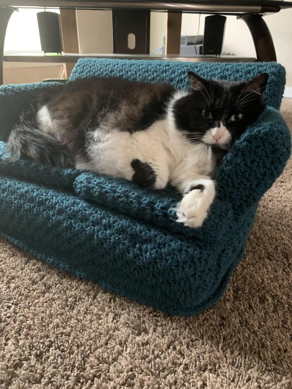 кошачий диван