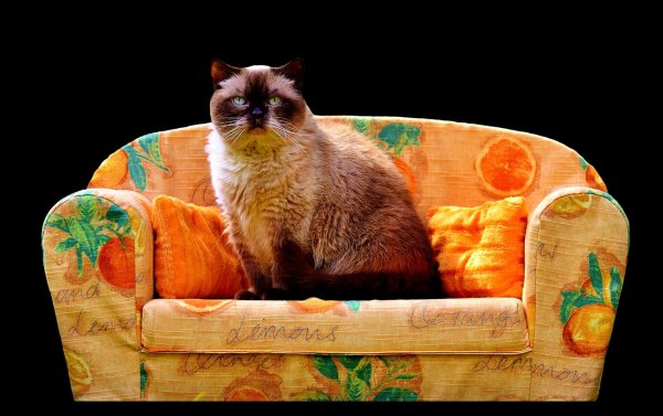 прикольные диваны