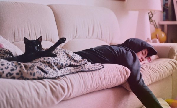 кошка с человеком