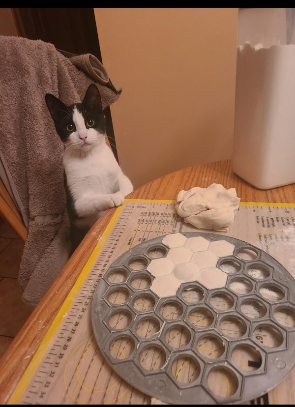 формы для пельменей