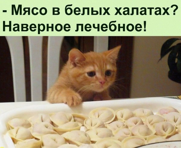 пельмени прикол