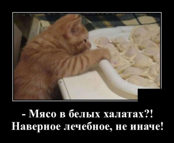 мясо в белых халатах лечебное