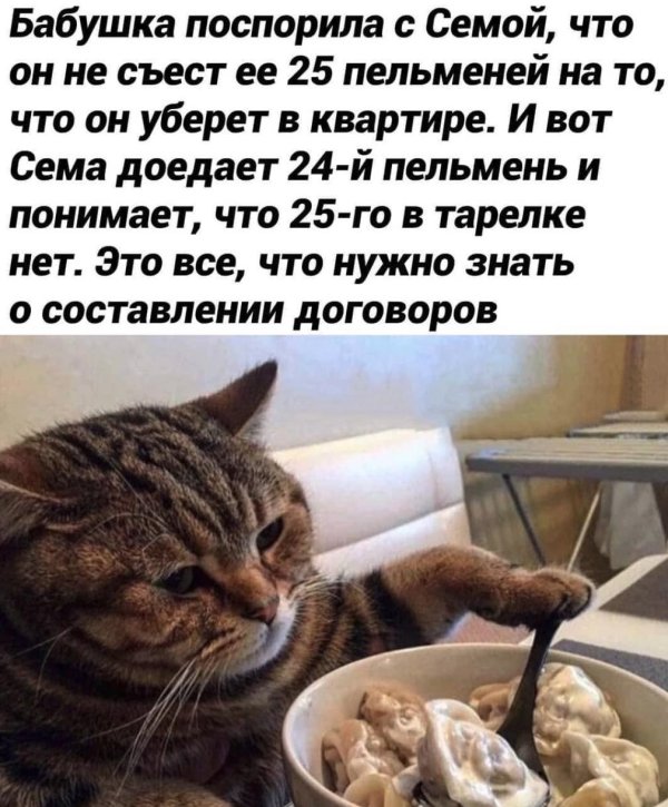 шутка про 25 пельменей