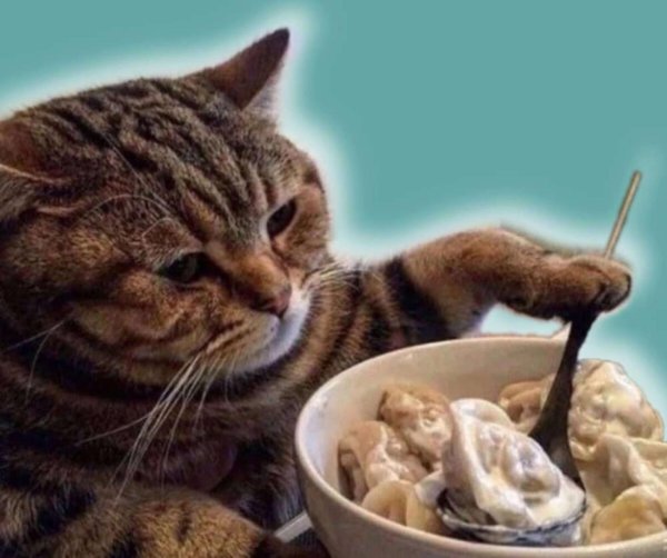 пельмени юмор