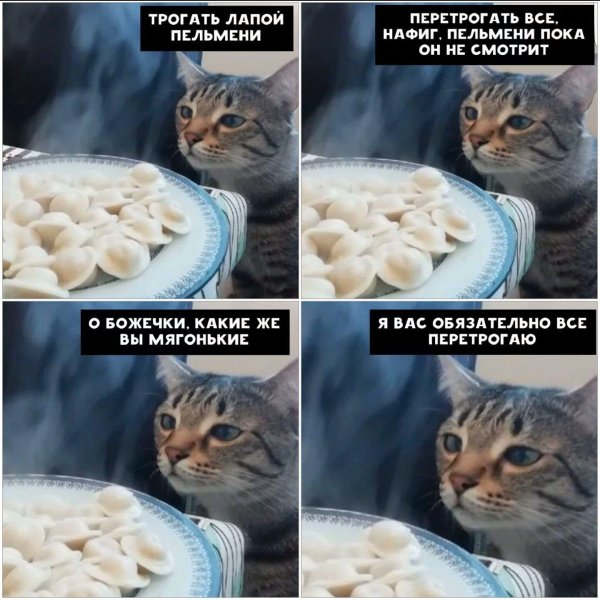 пельмени мем