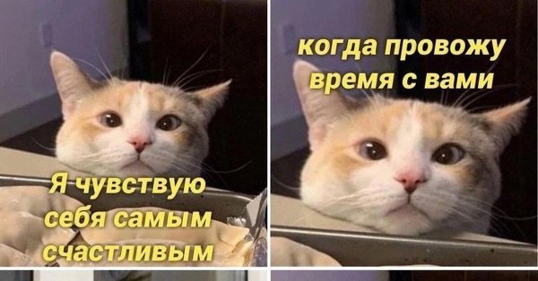 немного юмора