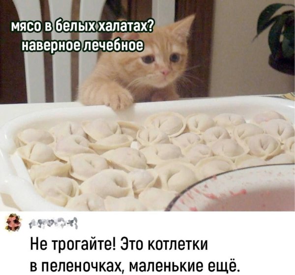 пельмени прикол