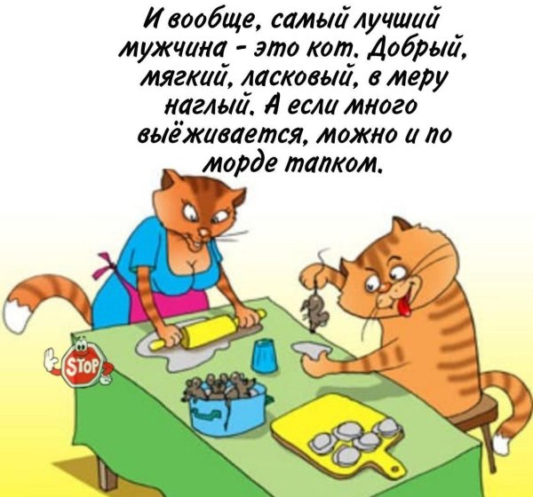 8 марта вася ложкин