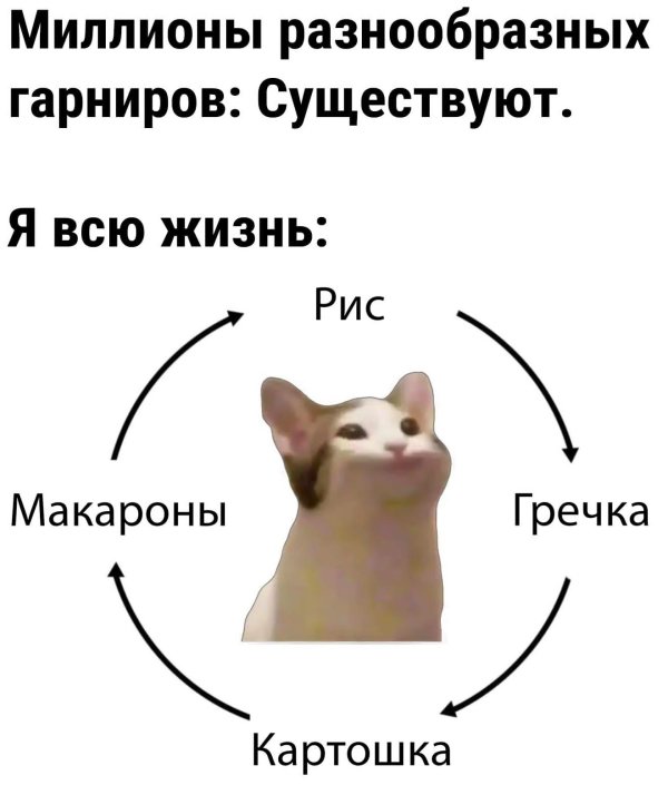 Кот и пельмени