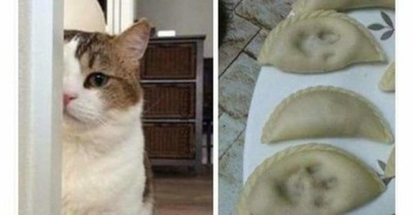 юмор и приколы