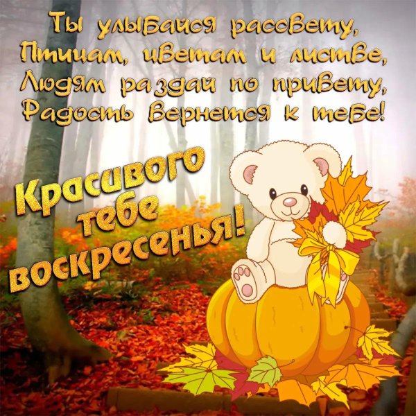 Хорошего воскресенья