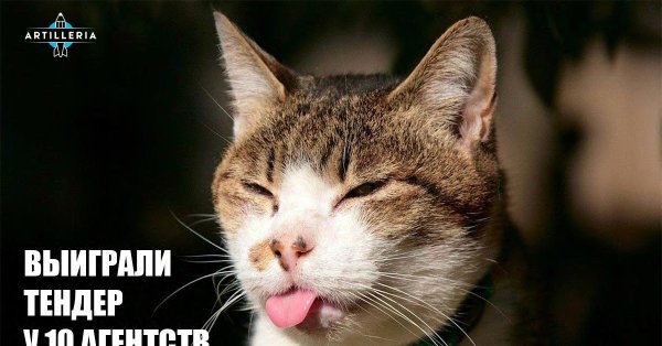 кошка с языком