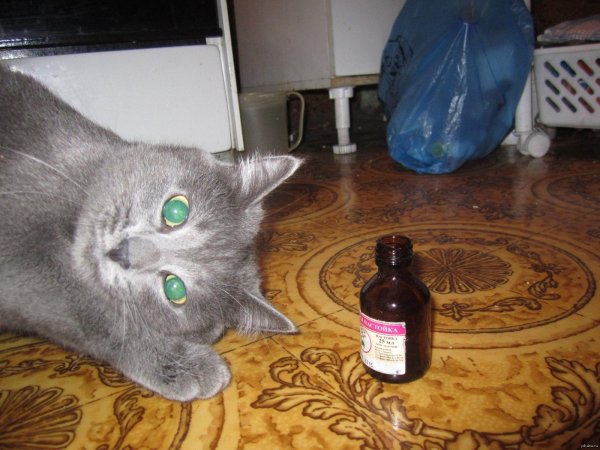 валерьянка в каплях