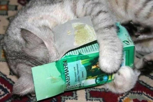 таблетка валерьянка