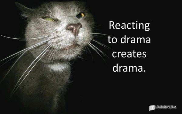 хитрая морда кота