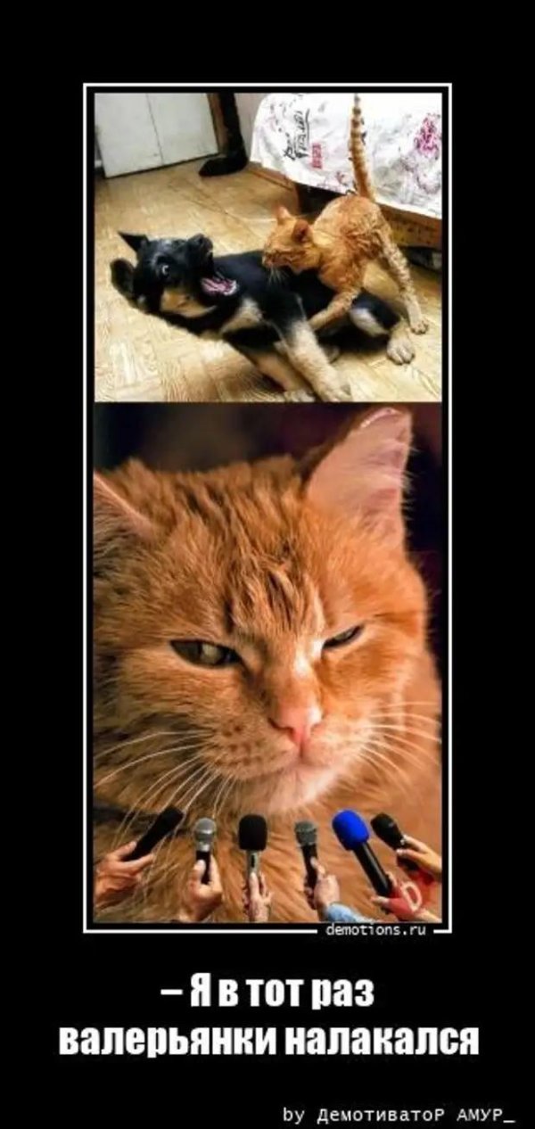 для поднятия настроения