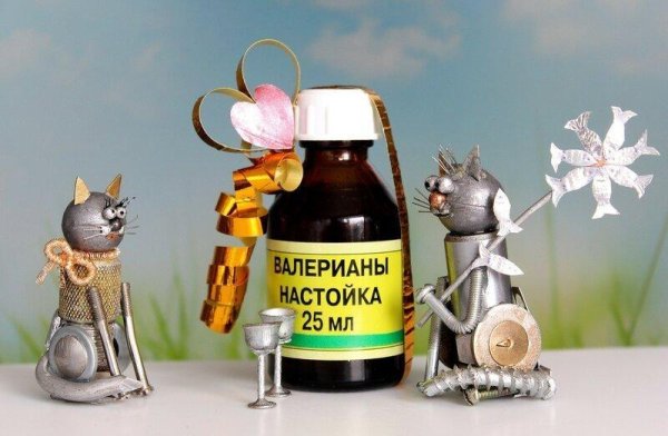 настой валерианы