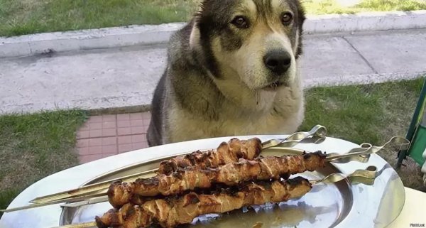 рецепты шашлыка