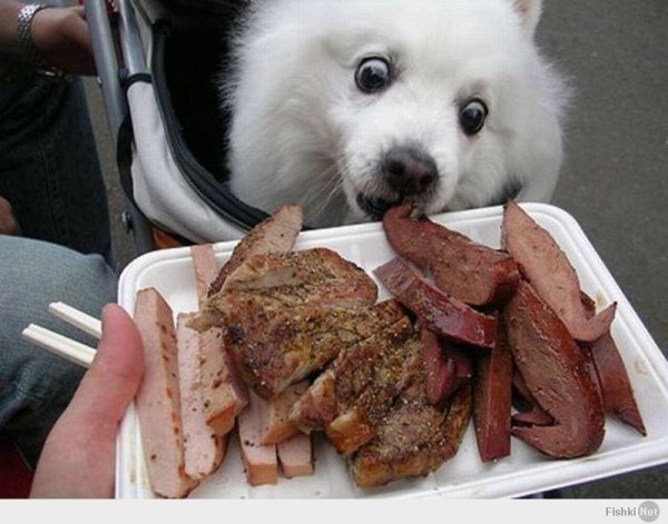 вкусная еда