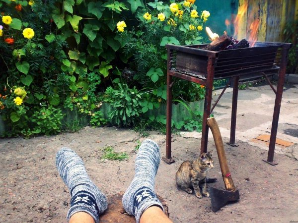 вязаные носки