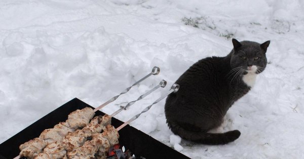 шашлыки прикол