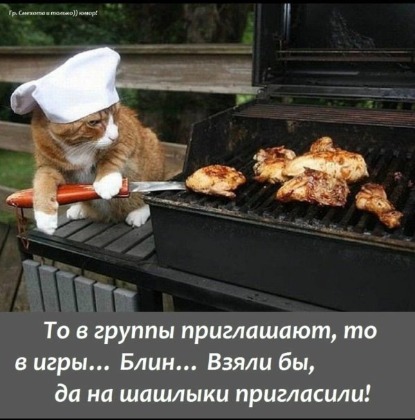 шашлыки мем