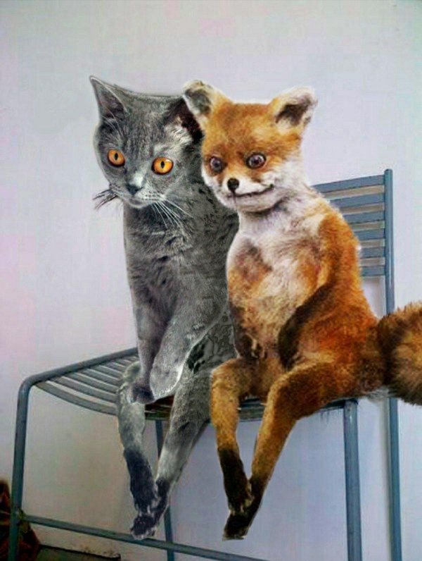 смешное чучело лисы