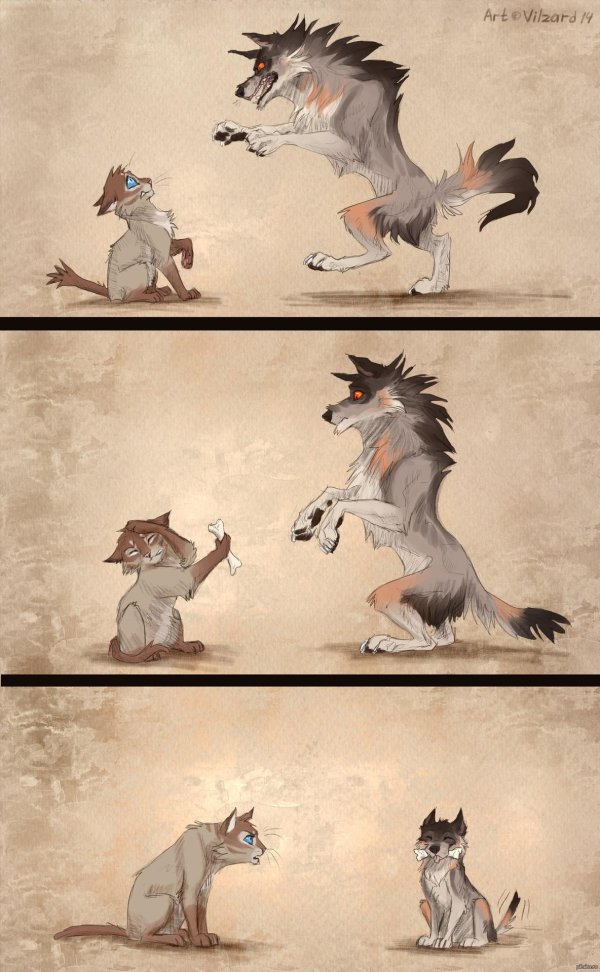 волки фурри